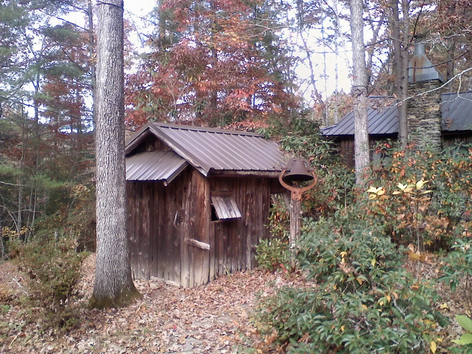 Small metal roof on a rough sawn shed in the woods in Port Royal
